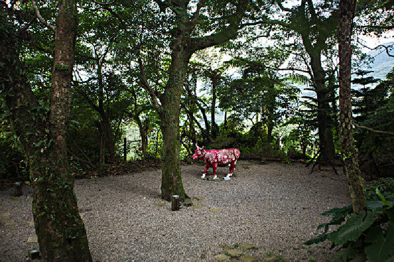 4月去台湾好吗_台湾四月怎么样_台湾的天气介