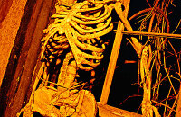 伊泽瑞尔真人密室