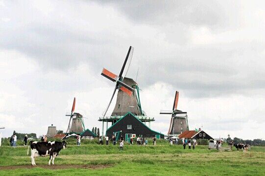 荷兰鹿特丹旅游_荷兰鹿特丹旅游攻略_荷兰鹿