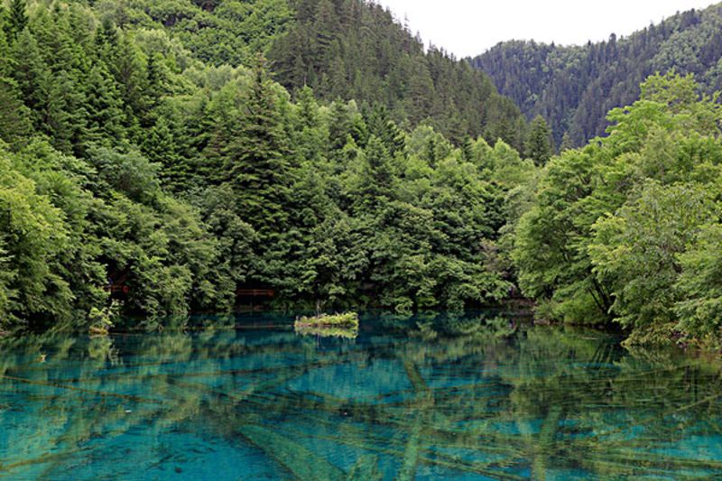 九寨沟旅游景点_九寨沟景点介绍_九寨沟旅行