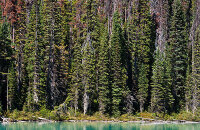 韦里比旷野动物园独木舟探险