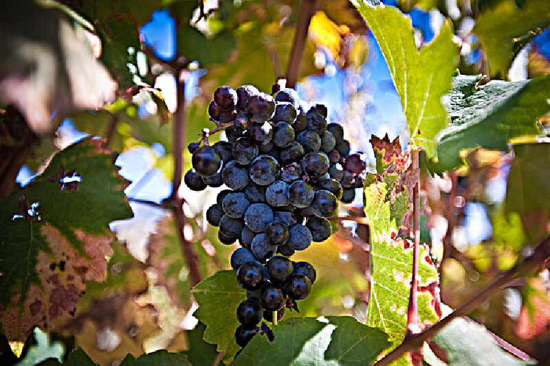 南非最好玩的地方景点_南非最好玩的地方开普