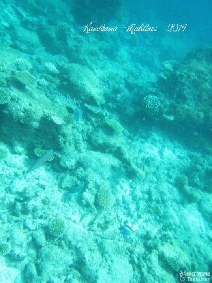 【马尔代夫】离天堂最近的,康杜玛岛