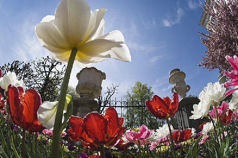 奥地利两天旅游攻略_维也纳景点门票_奥地利