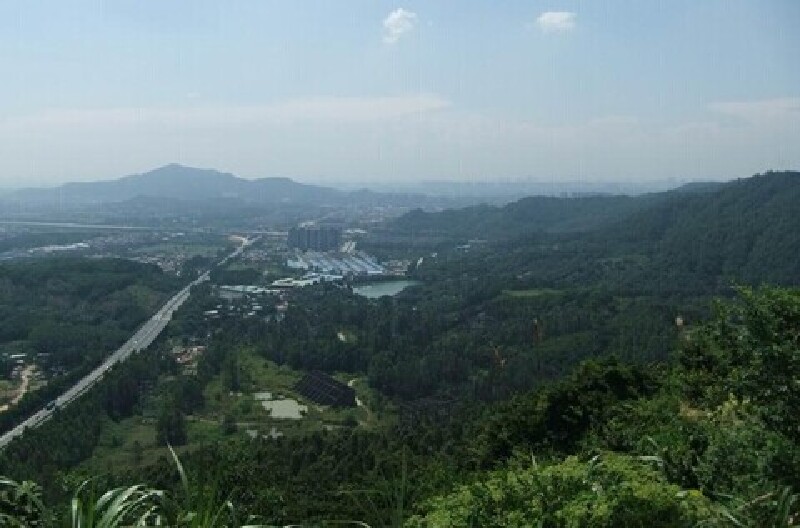 广州龙眼洞森林公园_广州龙眼洞森林公园门票