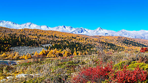 4月去康定注意事项介绍_康定四月人多吗_4月