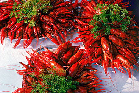 food_picture
