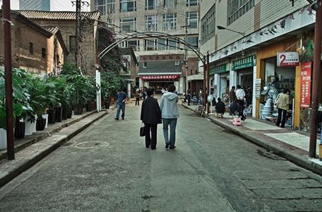 昆明景星街花鸟市场怎么去_昆明景星街花鸟市场位置_昆明景星街花鸟