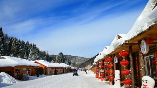 [元旦 亚布力雅旺斯-雪乡5日游>四大娱乐项目 不含大交通(当地游)