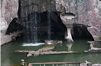 原始野人谷听野人传说