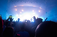 参加音乐会和弗拉明戈现场表演