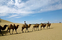 中国丝绸之路节