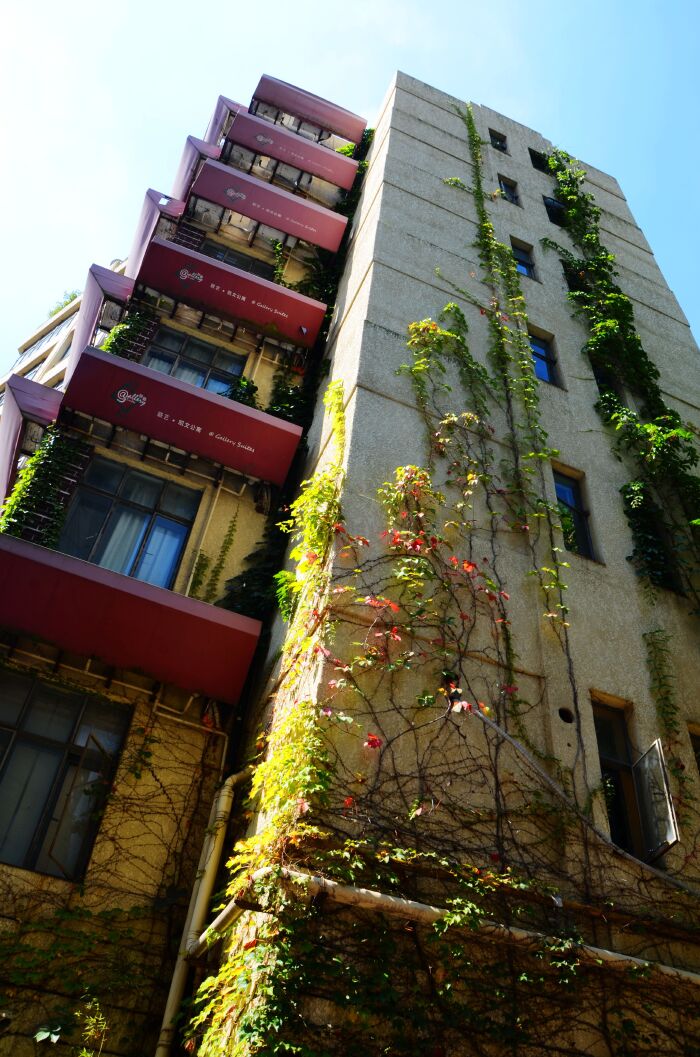 历史保护建筑凯文公寓