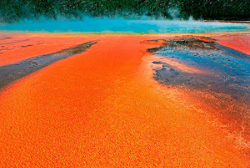 黄石公园攻略_黄石国家公园推荐景点_黄石国