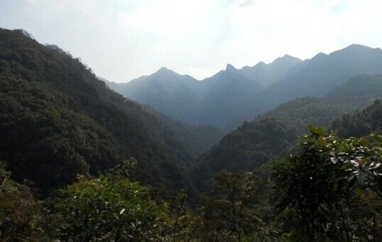 桂峰山生态度假景区_桂峰山生态度假景区的门票_桂峰山生态度假景区的