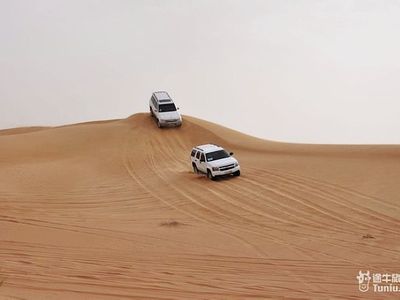 迪拜沙漠保护区8