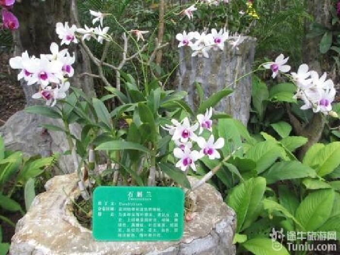 乐驼网-【三亚旅游专线】牛人酒店三亚一地双新疆v专线攻略攻略图片