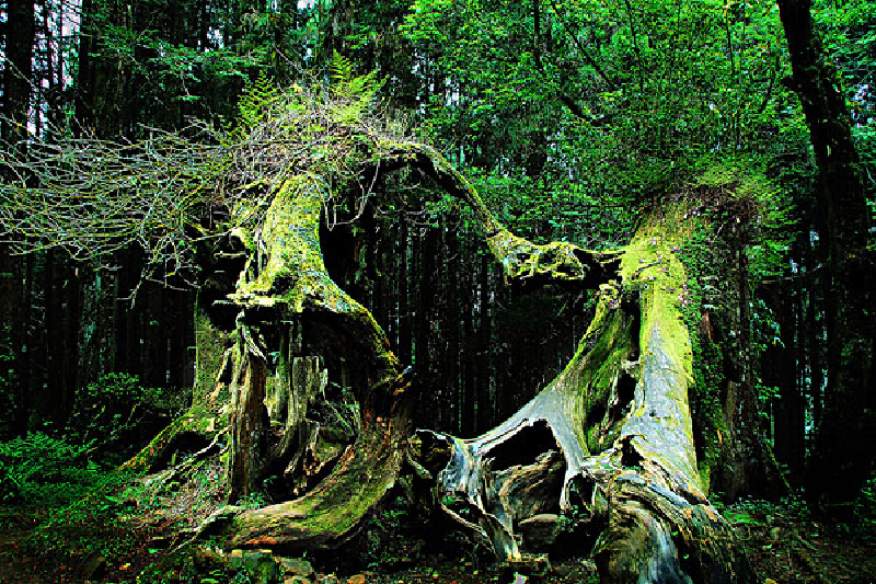 七美岛怎么样_七美岛好玩吗_七美岛景点攻略