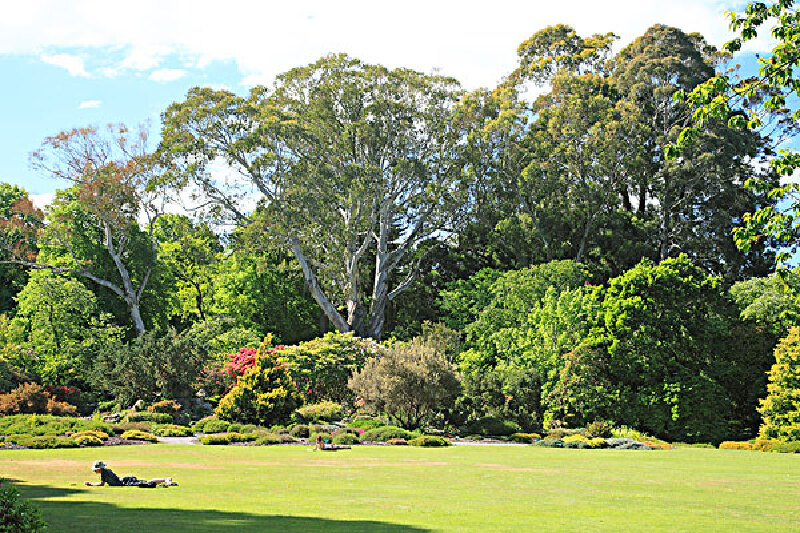 新西兰旅游购物指南_新西兰纪念品介绍_新西