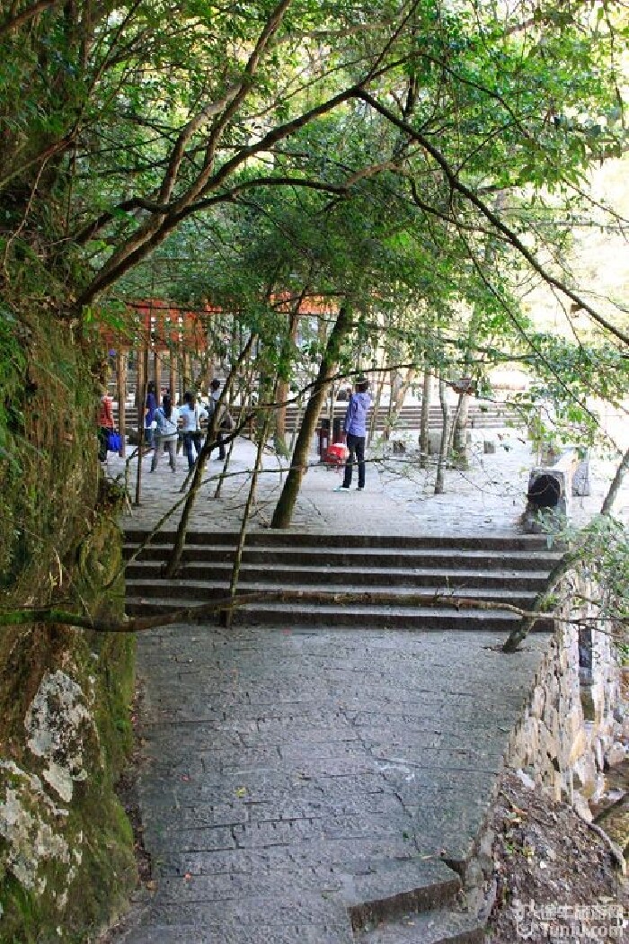 【温州泰顺乌岩岭攻略】必将再前往的美丽仙境
