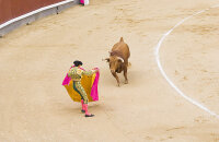 索科多维广场看斗牛表演