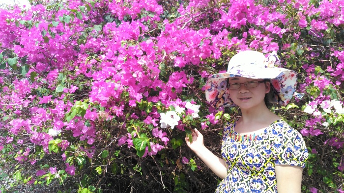 八角梅,三亚的市花.紫色团簇的是叶子,白色的小花才是她开的花