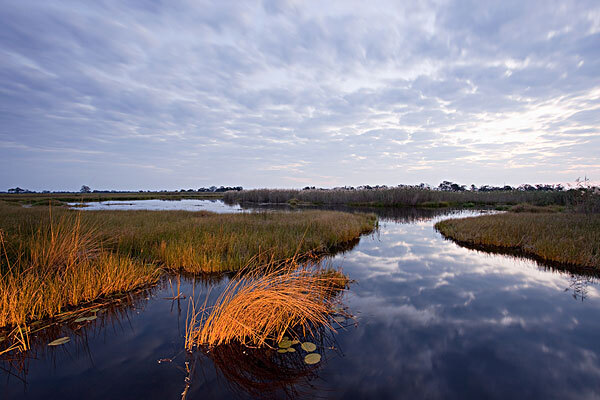 南非跟团旅游多少钱_南非跟团旅游多少钱最新
