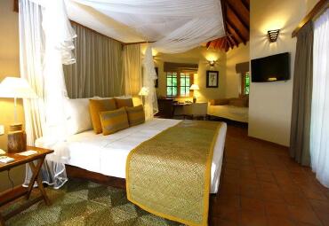 亚勒亚拉野生肉桂酒店房型简介_亚拉野生肉桂