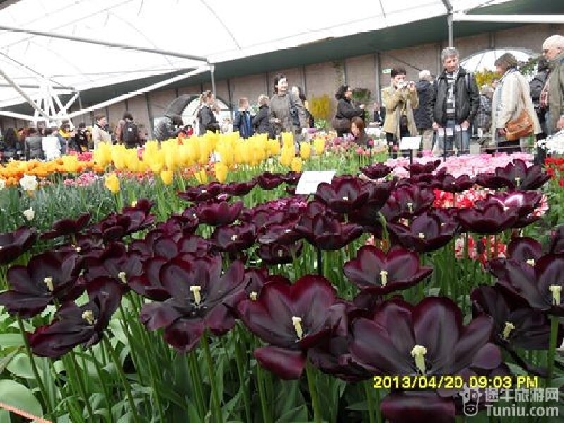 走马观花的意思简短 89b7ee6eaff4eb29e6e2f11cb637370f_w800_h0_c0_t0.jpg