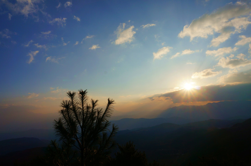 在山上,打马坎的早晨,风很大,吹得很冷