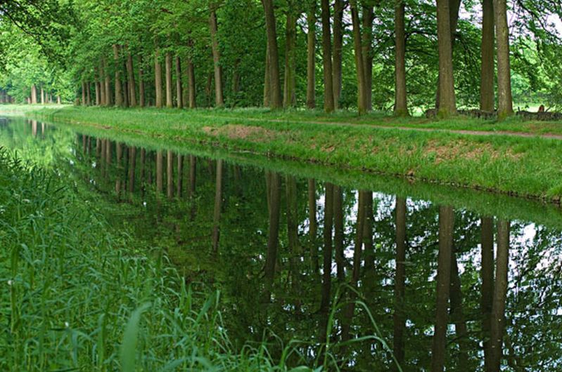 荷兰旅游_荷兰森林公园_荷兰森林公园特色_森