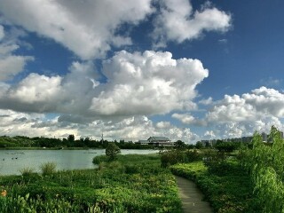現(xiàn)在去廈門鼓浪嶼旅游多少錢_廈門鼓浪嶼旅游跟團(tuán)多少錢_去廈門鼓浪嶼旅游怎么走