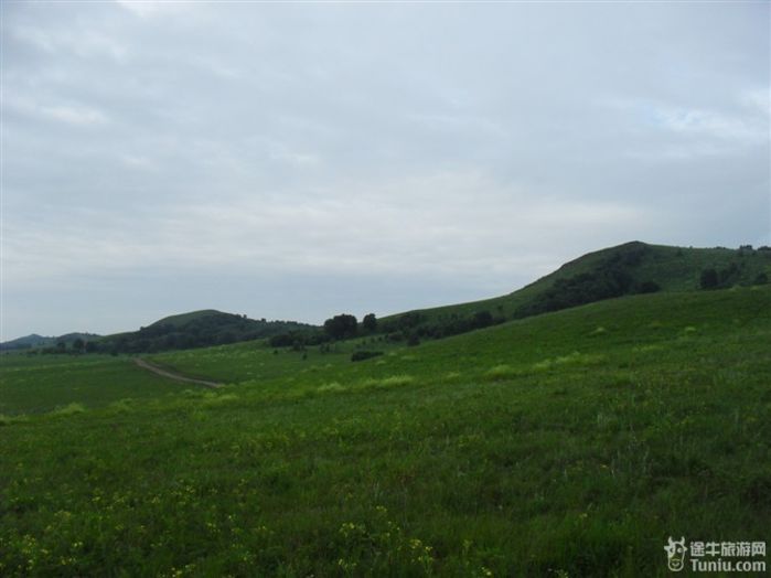 木兰围场—塞罕坝森林公园—乌兰布统草原