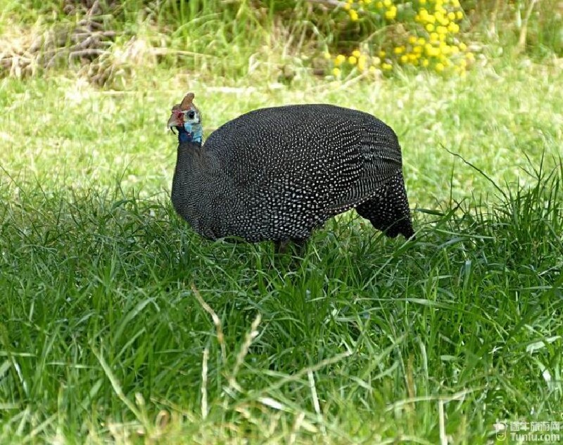 【南非、迪拜、阿布扎比旅游攻略】秋虎的旅游