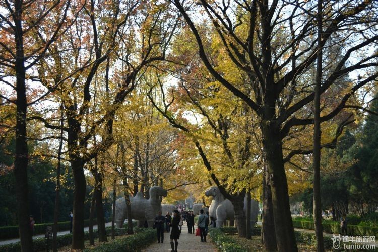 南京旅游海量图片南京12年的春夏秋冬