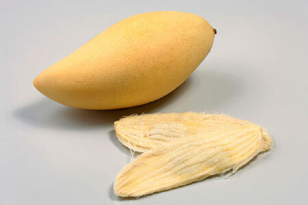 food_picture