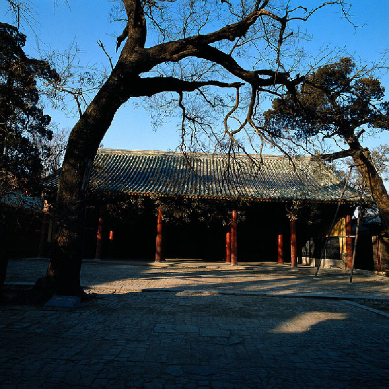 山东美食_山东有什么特产_山东特产有哪些_山