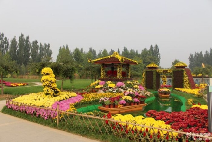 鲜花港---与菊花仙子的约会!_顺义