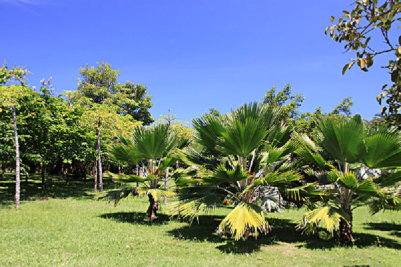 天涯海角气候介绍_天涯海角旅游攻略_天涯海