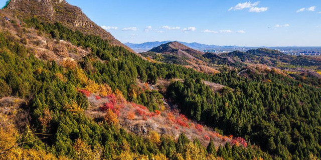 金莲山庄