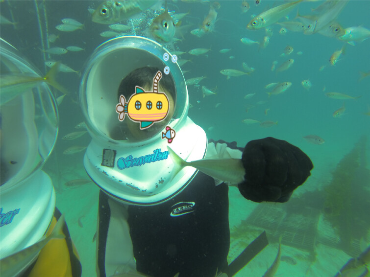 费用包含 海底漫步(sea walker)门票 可提供济州岛免费接机服务,如需此服务,请在下单后联系韩游网客服,告知接机时间 费用不含 个人自费项目等费用 优惠政策 无儿童、老人优惠票 景区地址 济州特别自治道济州市海岸路297-2 297-2 出发时间 1、海底漫步 场次- 11:00、12:00、14:00、15:00、16:00、17:00 2、昼夜岸潜体验-白天 场次- 12:00、14:00、16:00、18:00 3、昼夜岸潜体验-夜间 场次- 19: