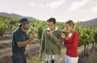 芭萝莎酿酒区品酒