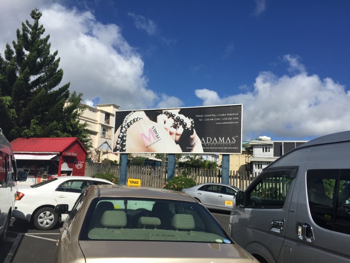 520,我们在毛里求斯相遇 - 毛里求斯游记攻略