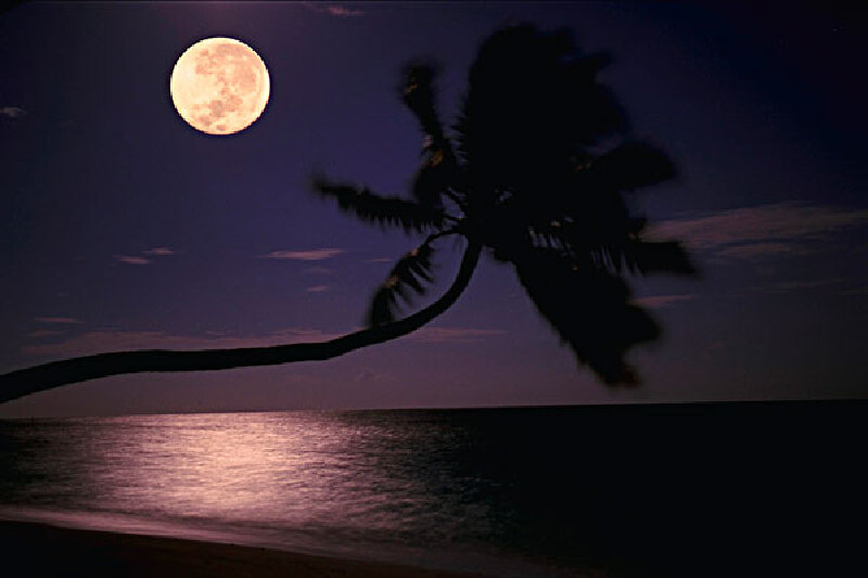 马尔代夫鲁滨逊岛_晚上上岛_马尔代夫鲁滨逊