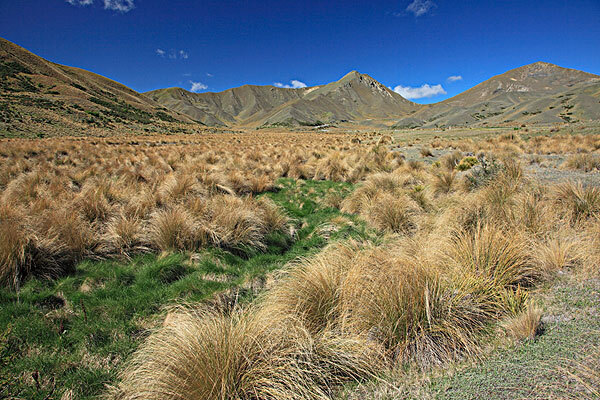 新西兰边工作边旅游_新西兰应该做什么工作_