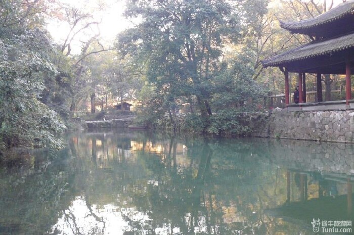 水不在深,有"泉"则灵——被一片绿荫掩映的"冷泉池".