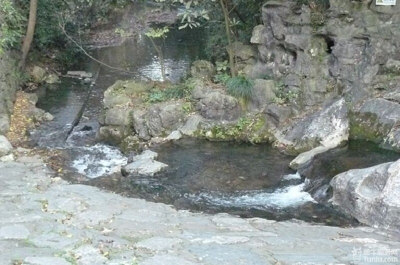 "冷泉溪"与旁边的"冷泉池"相通,池中鱼翔浅底.