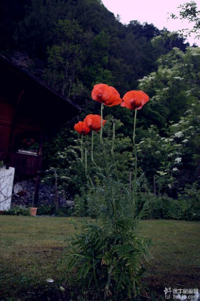 【法意瑞三国旅游攻略】欧洲5月的咖啡飘香@