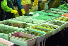 餐饮模块 