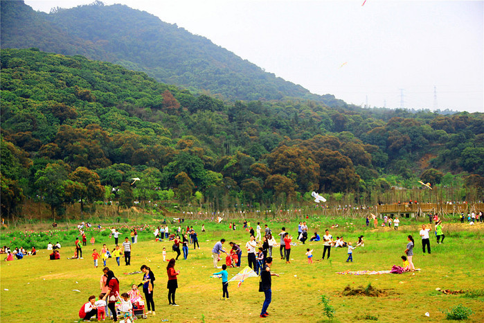 清溪大王山罗坑水库景区"花海世界"雏形初现,"花海"内十几种鲜艳的